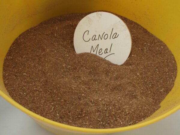 Canola Meal - Image 2