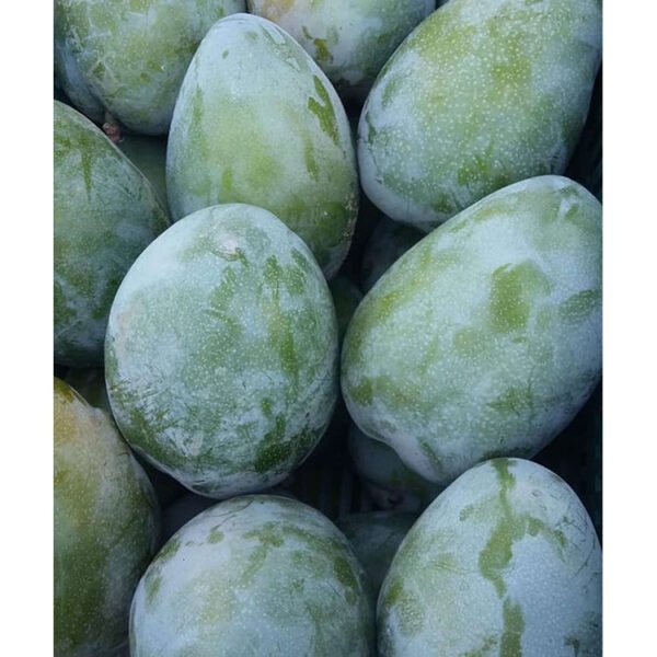 Fresh Mango