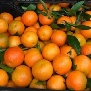Fresh Oranges