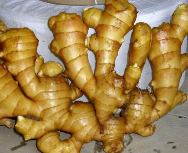 Fresh Ginger - Image 2