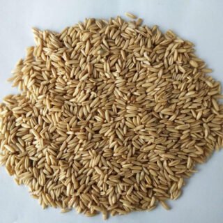 Oat