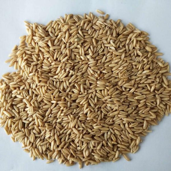 Oat