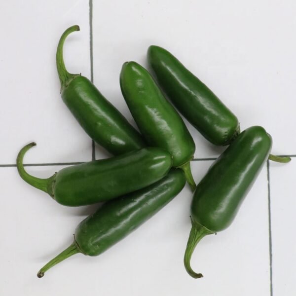 Chilli Pepper - Image 3