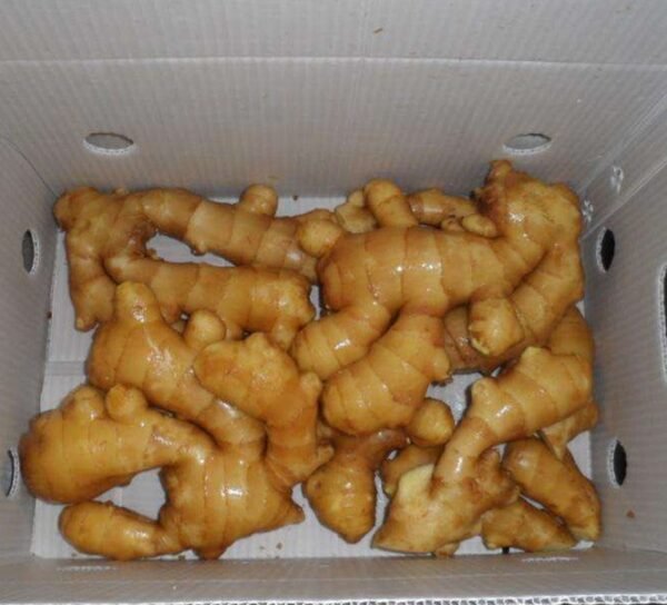 Fresh Ginger - Image 3