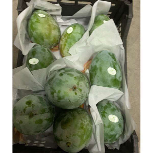 Fresh Mango - Image 2