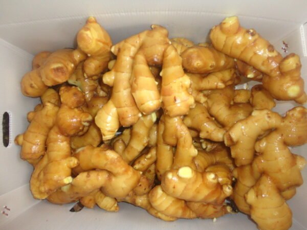 Fresh Ginger