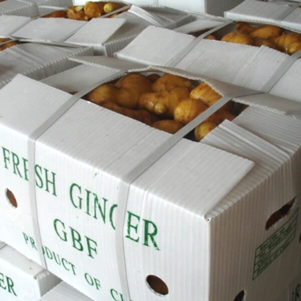 Fresh Ginger - Image 5