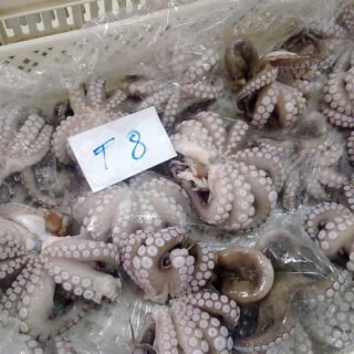 Frozen Octopus 