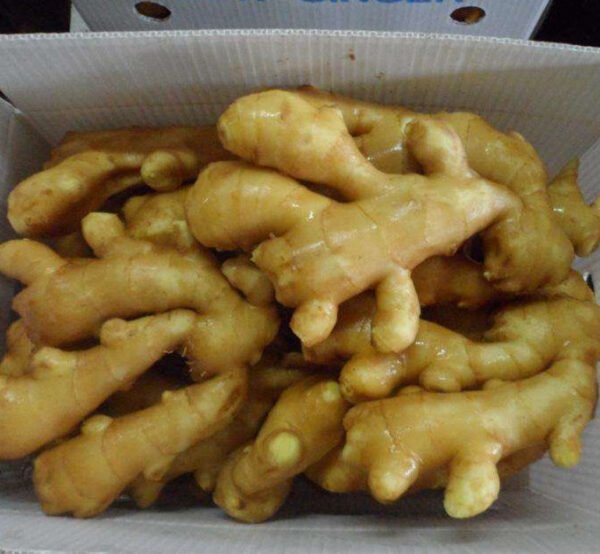 Fresh Ginger - Image 4