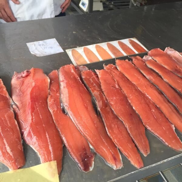Frozen Salmon - Image 4