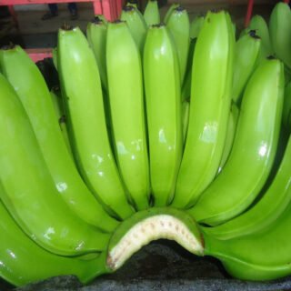 Green Cavendish Banana
