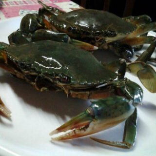 Live & Frozen Crabs