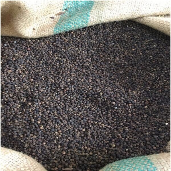 Black Pepper - Image 2