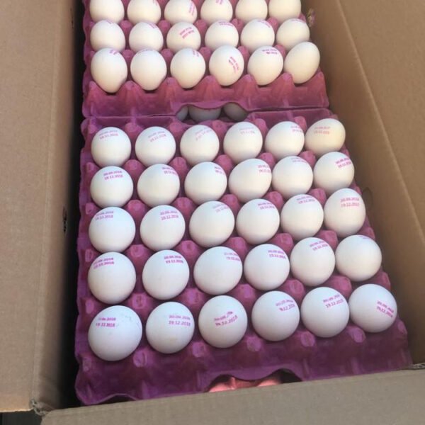 Table Eggs