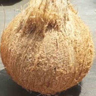 Semi & Full Husk Coconut