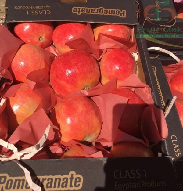 Pomegranate Fruit - Image 2