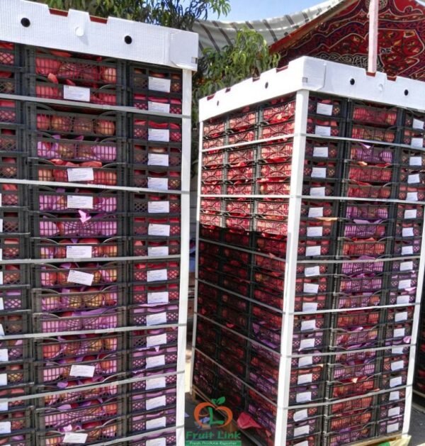 Pomegranate Fruit - Image 3