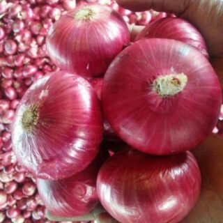 Onions