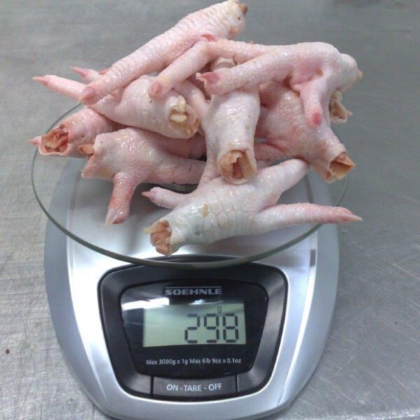 Frozen Chicken Parts