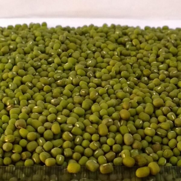Green Mung Beans - Image 3
