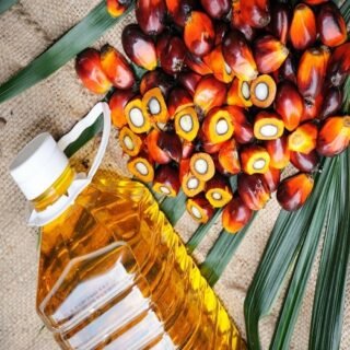 RBD Palm Olein Oil